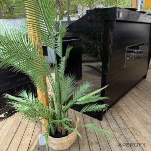 Second product image