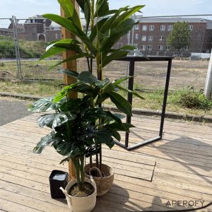 Second product image