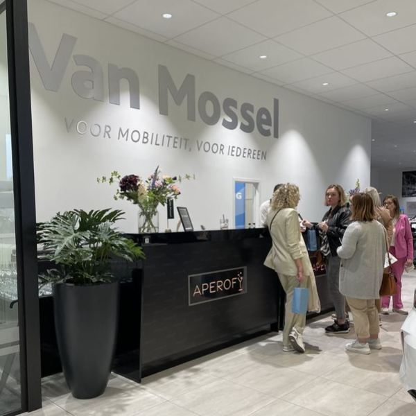 Schermafbeelding 2024-06-26 204438